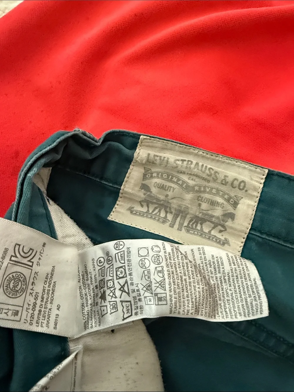 Levi's Teal Distressed Flat Front Men's Shorts and Nike SB Sport Shorts